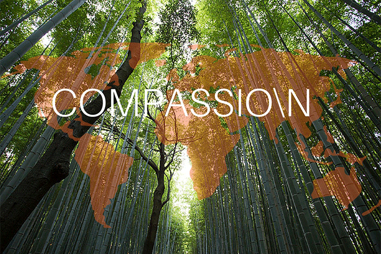 Compassio/N
